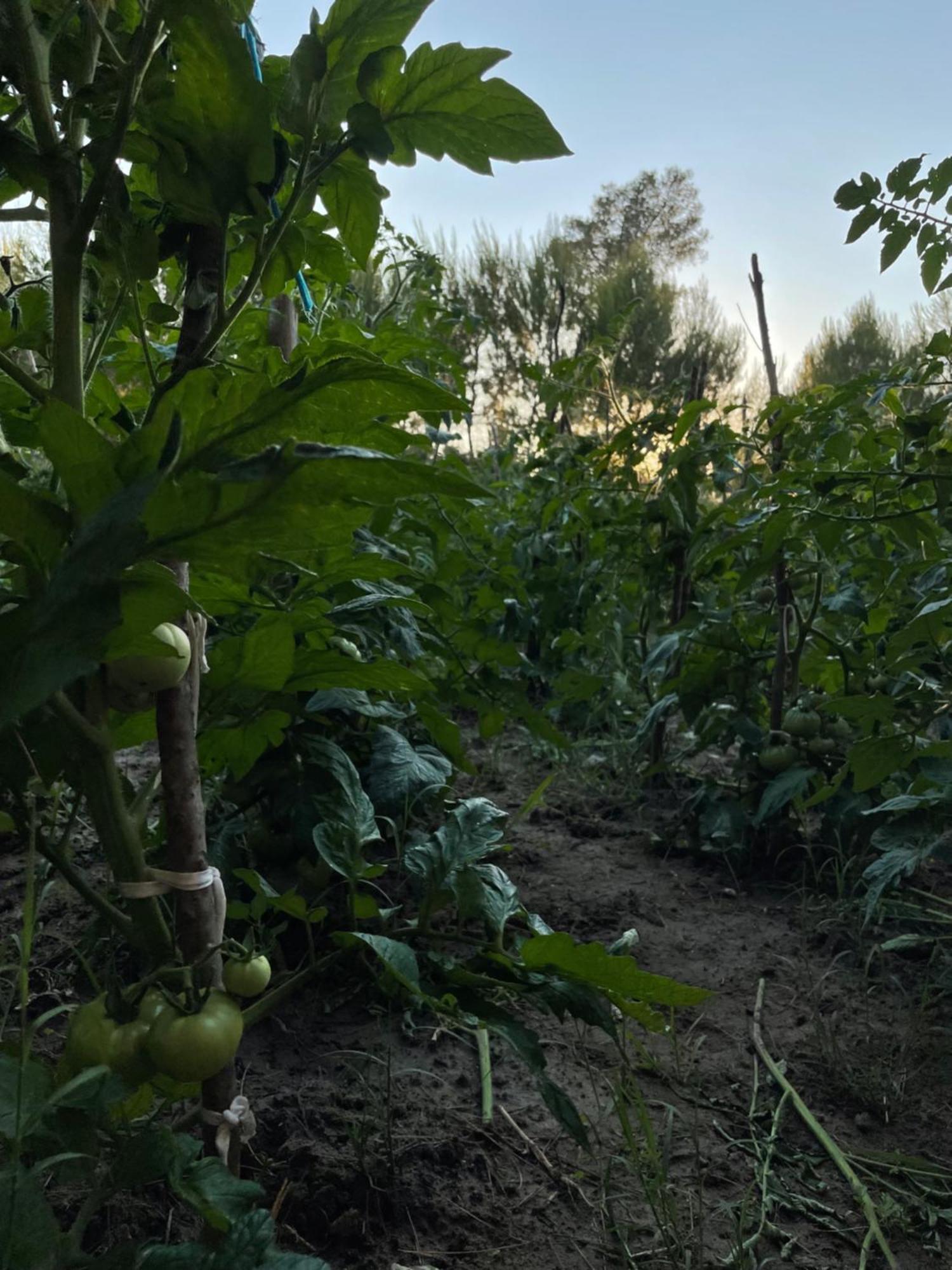 Отель Agroturizem Eldi Фиери Экстерьер фото
