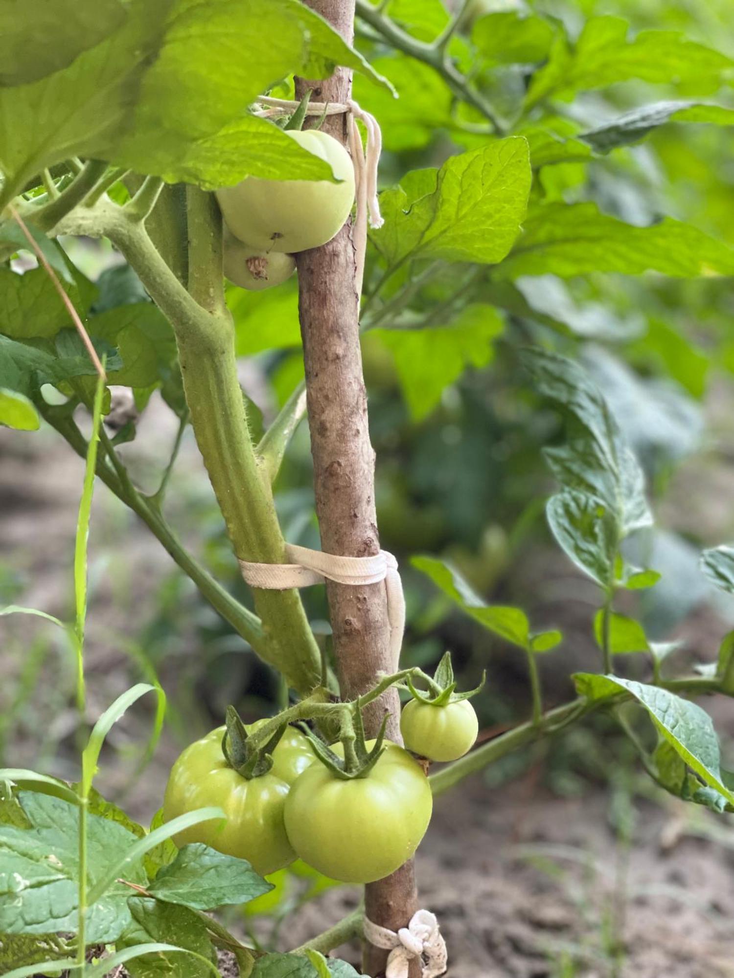 Отель Agroturizem Eldi Фиери Экстерьер фото
